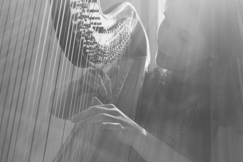 Photo by: Rachel Feldhaus Photo by: Rachel Feldhaus